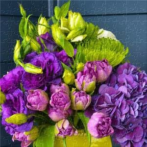 Meet your Posher, Dee